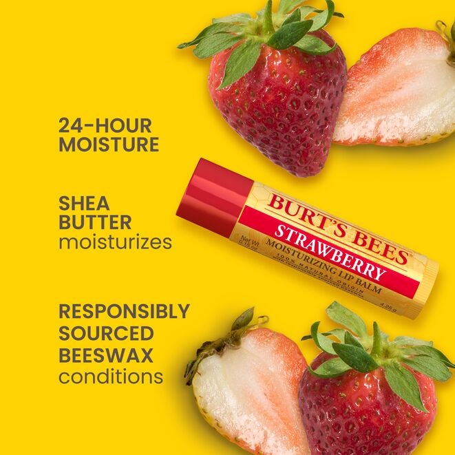 Best of Burt's Lip Balm 4-Pack kD