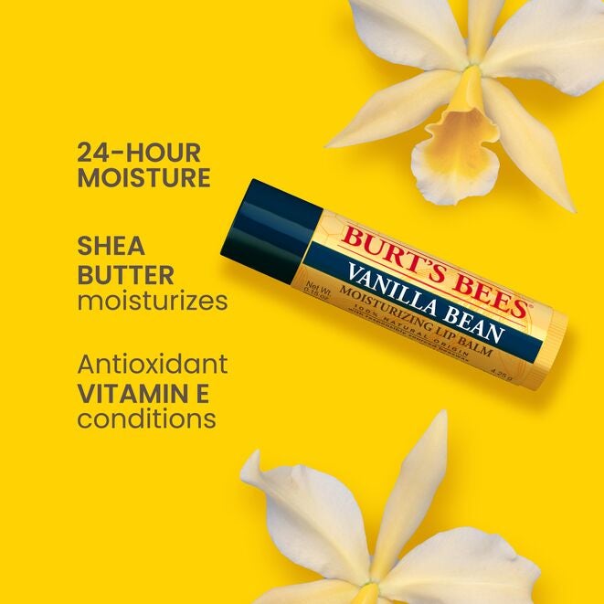 Best of Burt's Lip Balm 4-Pack kD