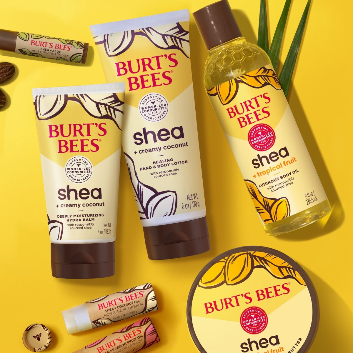 Shea + Cocoa Butter Moisturizing Lip Balm fL