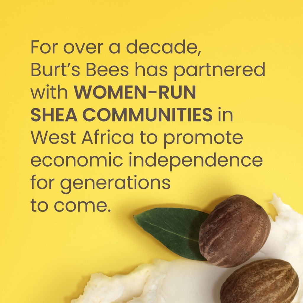 Shea + Mango Hand & Body Butter ec